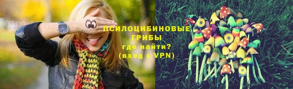 крисы Верхнеуральск